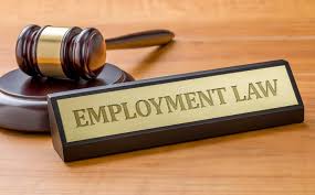 danny gelb - employement law