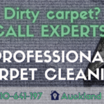 Professional Carpet Clean
