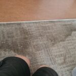 Carpet Cleaning Services
