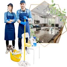 Professional Cleaning Services