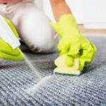 Alex Carpet Cleaning Solutions (ACS) NZ