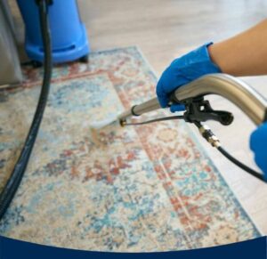 Andy's Carpet Cleaning