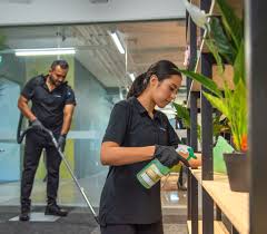 As you Cleaning Services