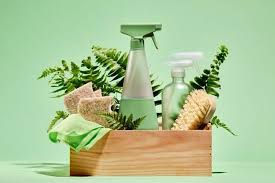 Go Green Cleaning Services