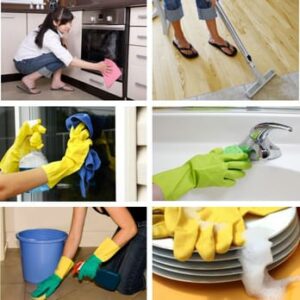 Premier Cleaning Services