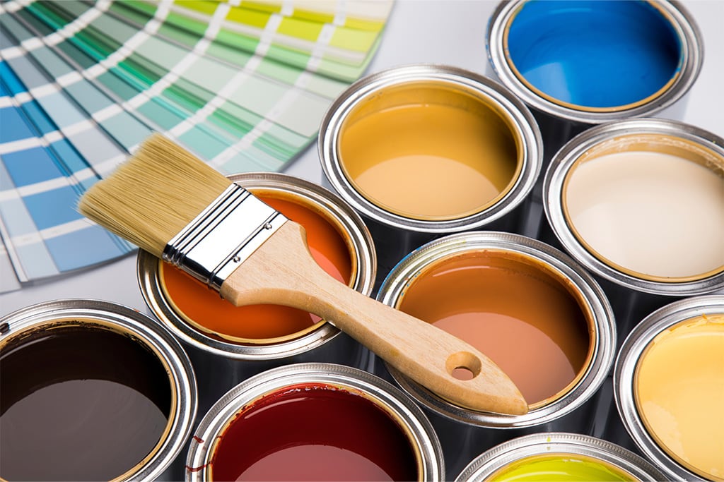 Best Paint Stores in Auckland