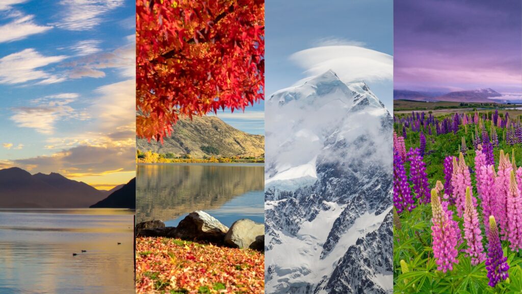 Seasonal travel New Zealand parks