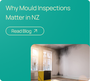 Why-Mould-Inspections-Matter