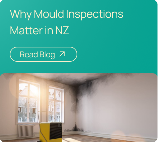 Mould Inspections