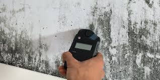 Mould Inspector NZ
