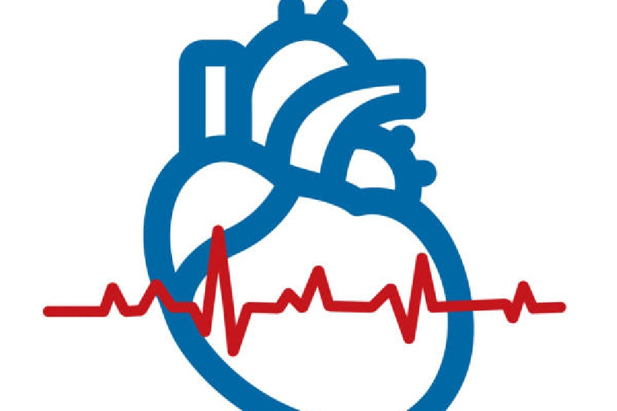 Best Cardiologists in Auckland