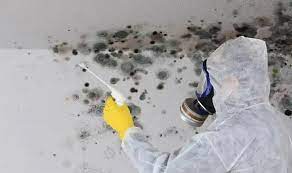 mould inspectors NZ