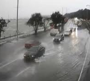 Auckland Storm