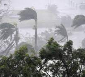 Storm-NZ