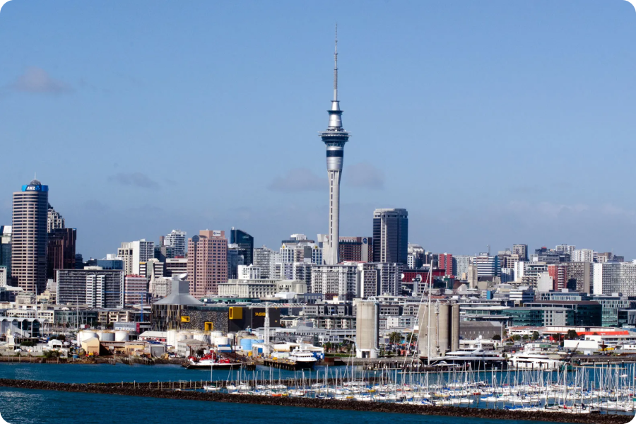Auckland Scenic View