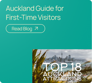 Auckland Travel Guide