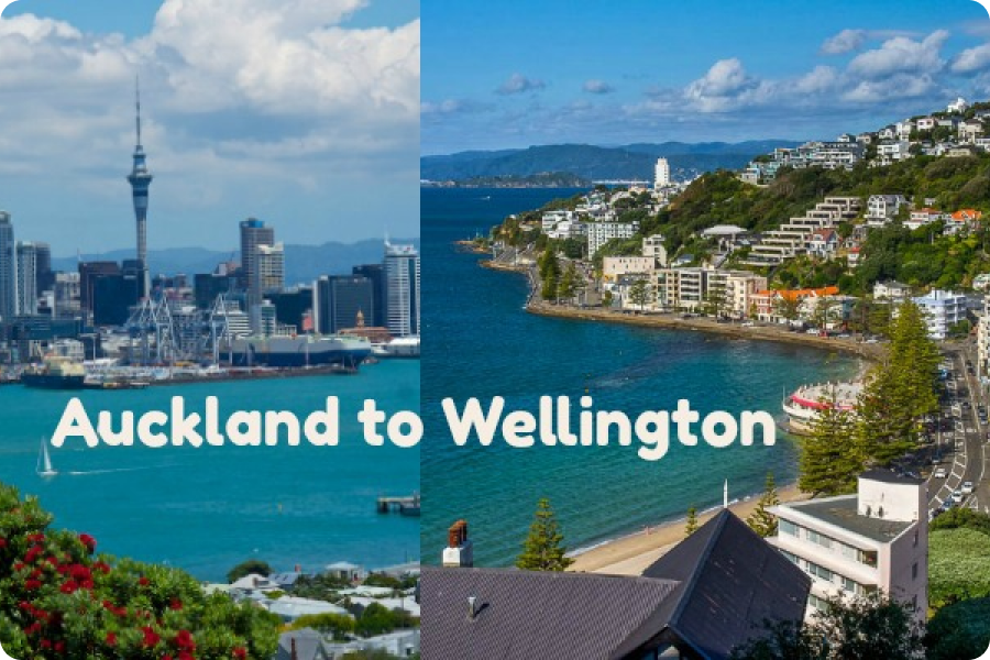 Auckland to Wellington memorable travel