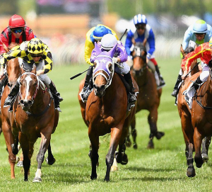 NZ punter Melbourne Cup