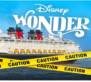 Disney wonder