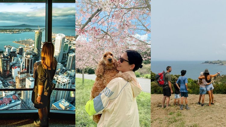 Auckland travel essentials