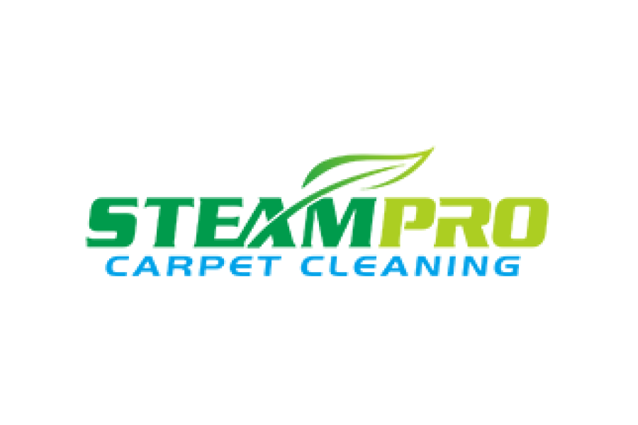 Steam Pro