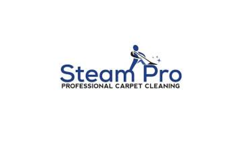 Steam Pro