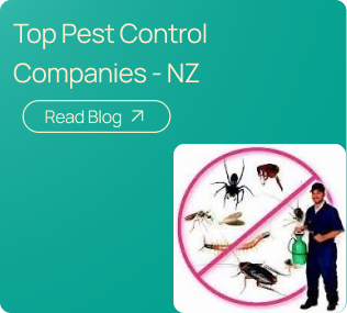 Pest Control