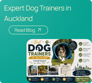 Dog Trainers