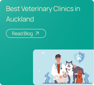Best Vet Clinics