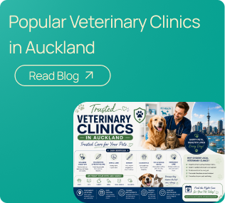 pet clinics