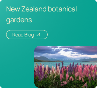 Botanical Garden in NZ