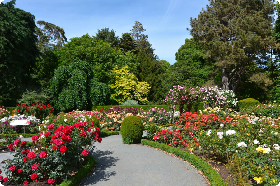 Christchurch Botanic Garden