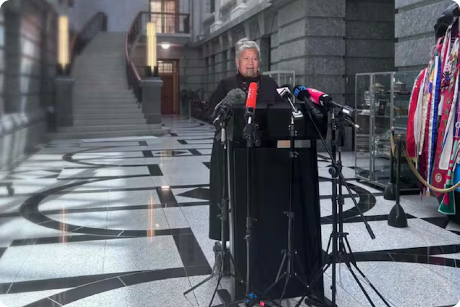 Te Pati Maori Split