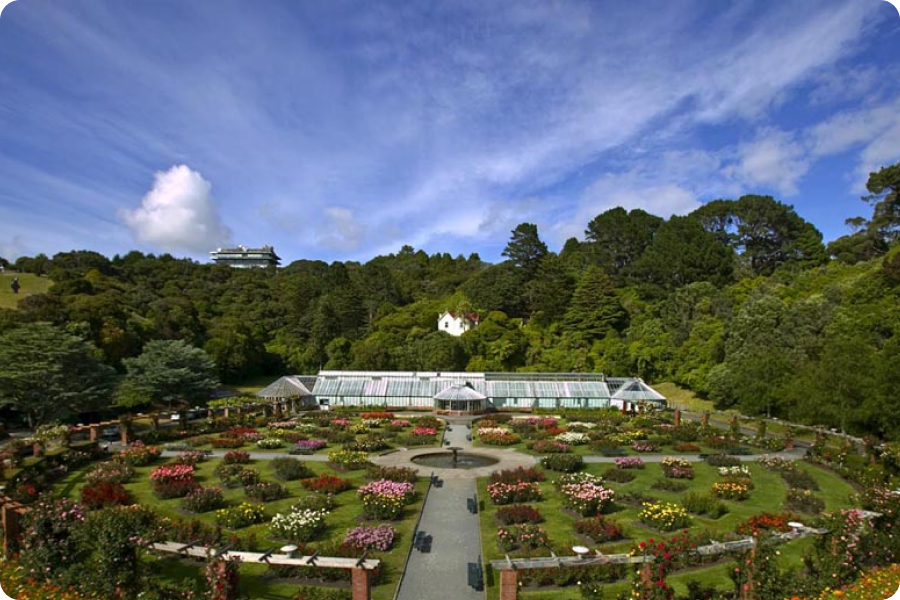 Wellington Botanic Garden