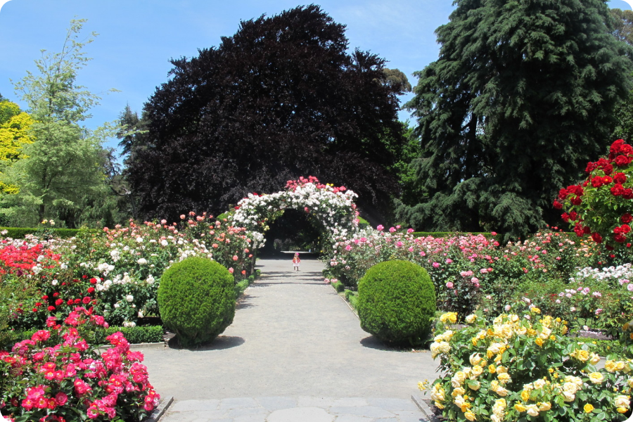 Stunning Parks in NZ