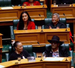 NZ Politics