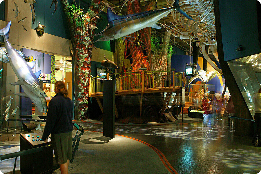 Museum of New Zealand Te Papa Tongarewa