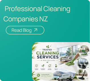 professional clean