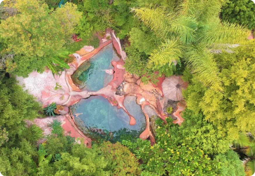 The Lost Spring